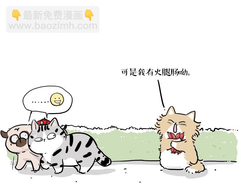 🍘吾皇巴扎黑 第424话 话痨小猫 第9页
