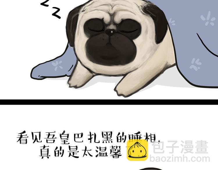 🍘吾皇巴扎黑 第44话 日常坑狗，却猫前屈膝 第15页