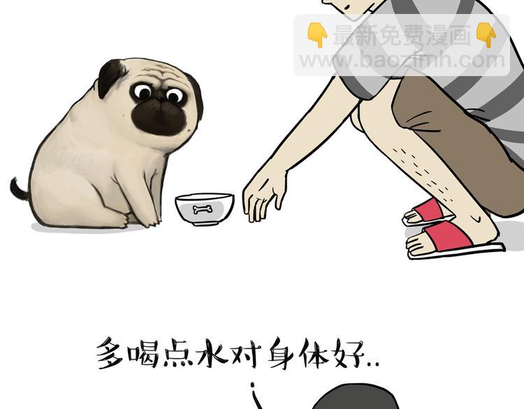 🍘吾皇巴扎黑 第44话 日常坑狗，却猫前屈膝 第2页