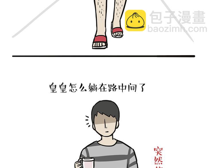 🍘吾皇巴扎黑 第44话 日常坑狗，却猫前屈膝 第22页