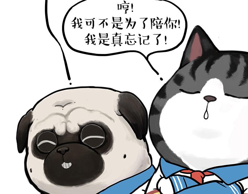 🍘吾皇巴扎黑 第428话 忘带了 第13页