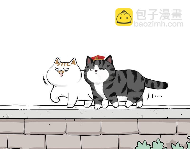 🍘吾皇巴扎黑 第430话 胖了 第24页