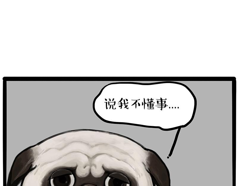 🍘吾皇巴扎黑 第432话 皇大夫诊所 第13页