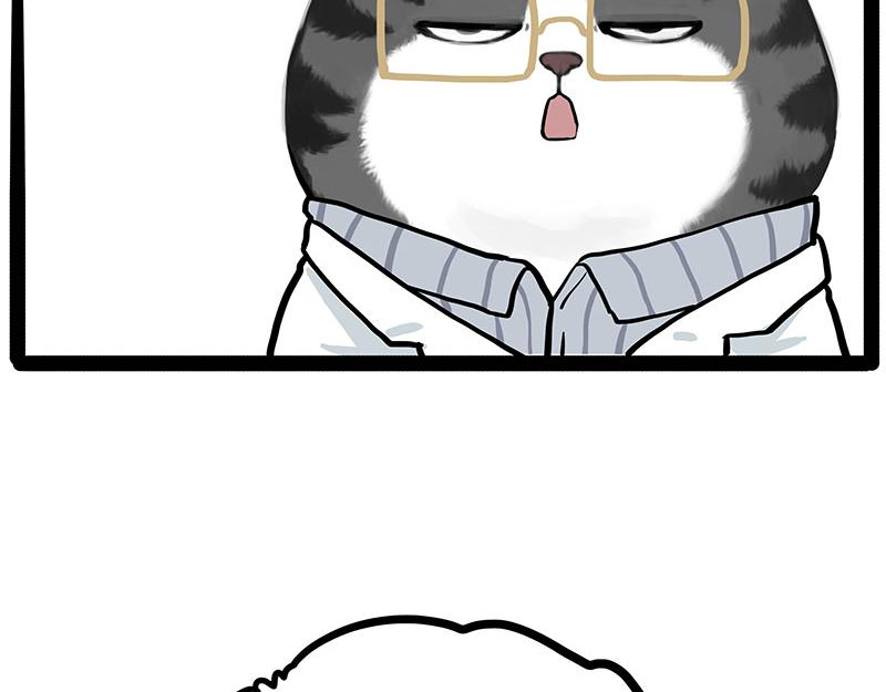 🍘吾皇巴扎黑 第432话 皇大夫诊所 第18页