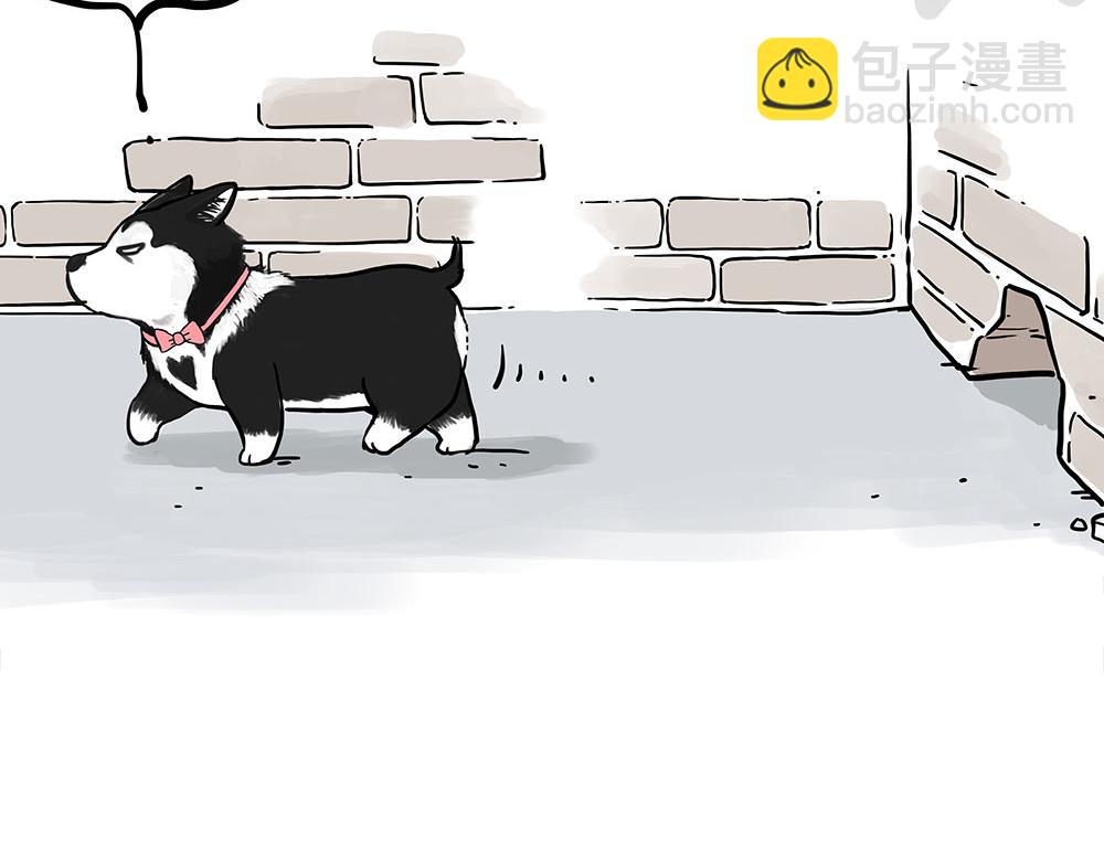 🍘吾皇巴扎黑 第438话 “坏心”办好事 第22页