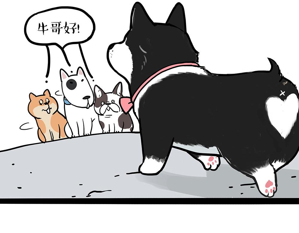 🍘吾皇巴扎黑 第438话 “坏心”办好事 第24页