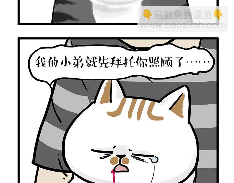 🍘吾皇巴扎黑 第440话 不要开这种玩笑 第10页