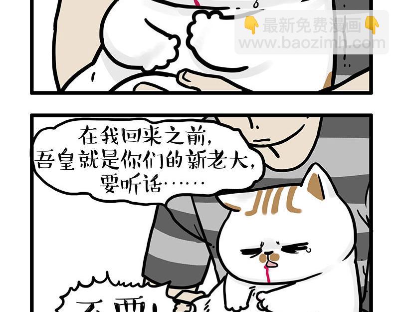 🍘吾皇巴扎黑 第440话 不要开这种玩笑 第11页