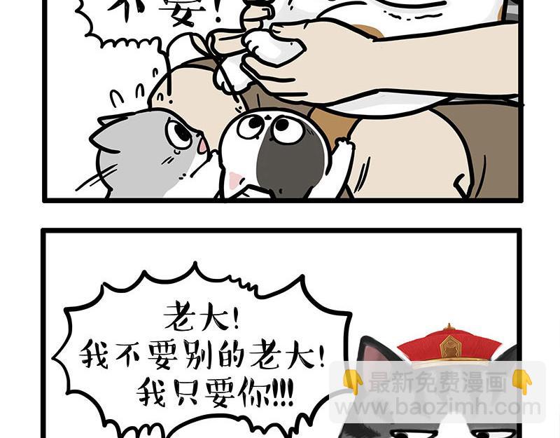 🍘吾皇巴扎黑 第440话 不要开这种玩笑 第12页