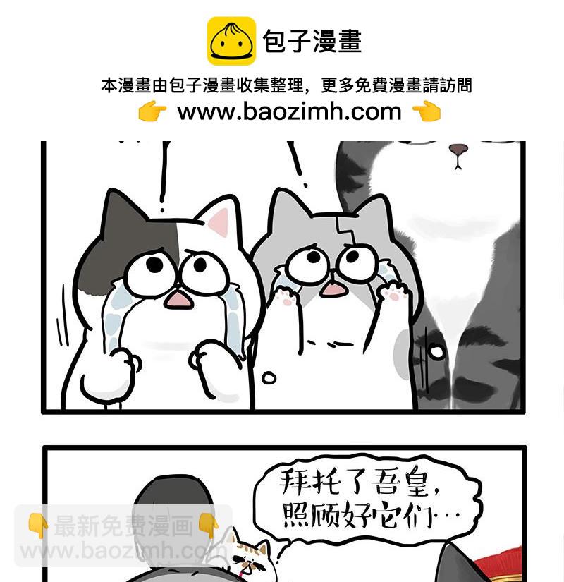 🍘吾皇巴扎黑 第440话 不要开这种玩笑 第13页
