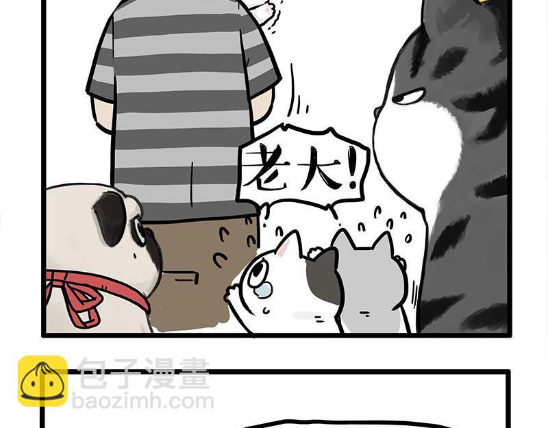 🍘吾皇巴扎黑 第440话 不要开这种玩笑 第14页