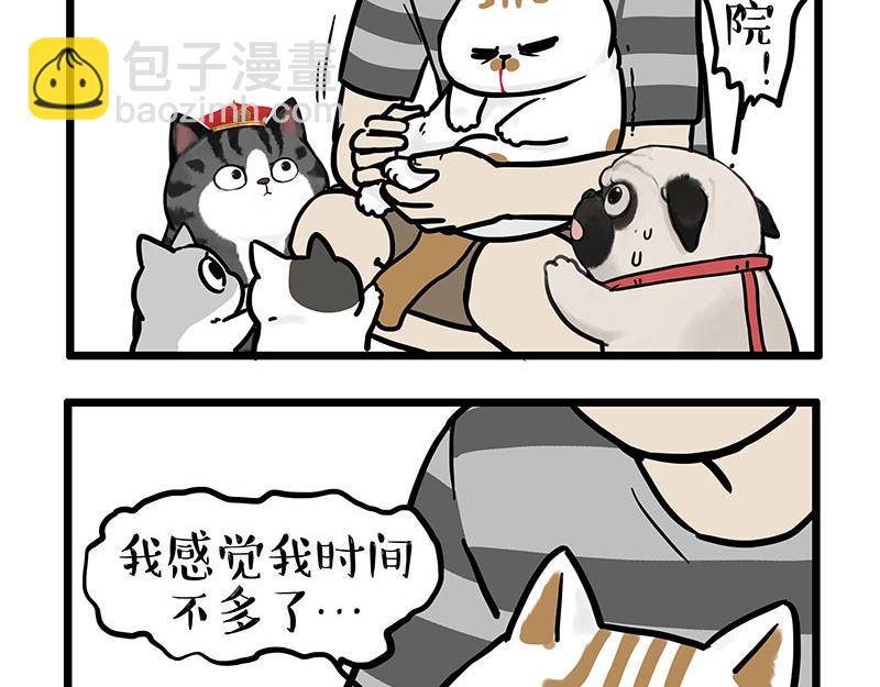 🍘吾皇巴扎黑 第440话 不要开这种玩笑 第4页
