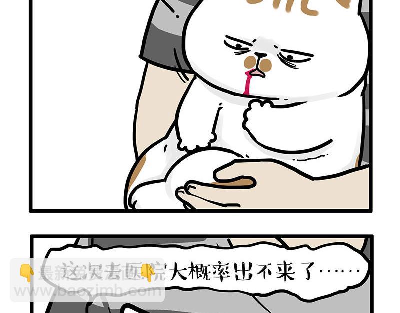 🍘吾皇巴扎黑 第440话 不要开这种玩笑 第5页