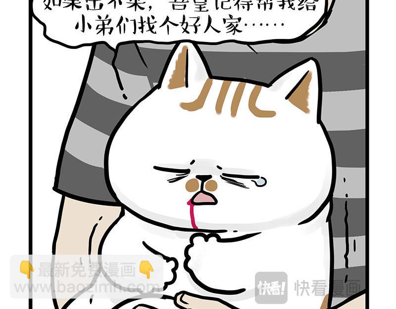🍘吾皇巴扎黑 第440话 不要开这种玩笑 第7页