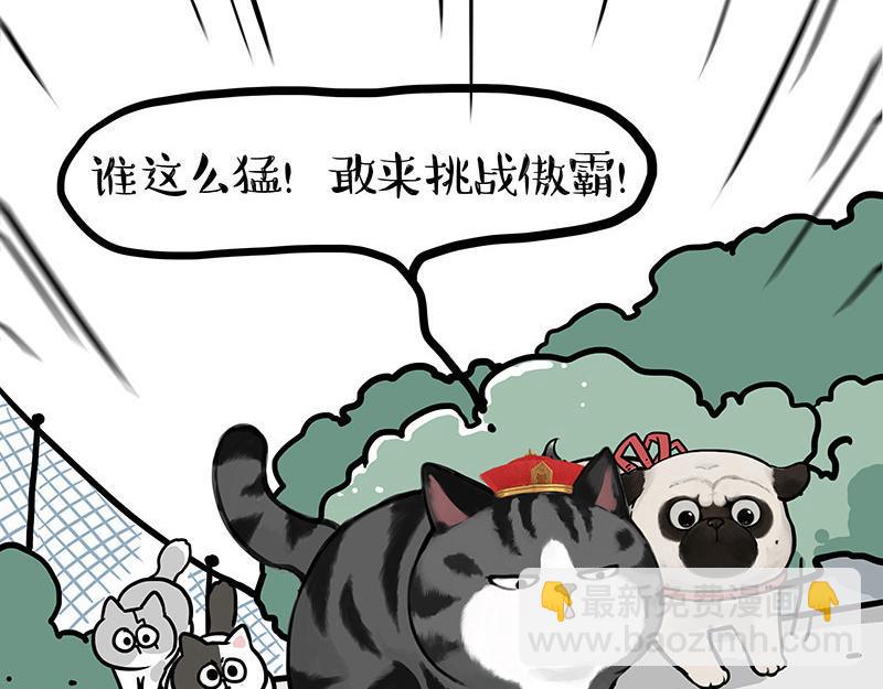 🍘吾皇巴扎黑 第442话 逆风的挑战 第13页