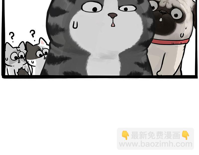 🍘吾皇巴扎黑 第442话 逆风的挑战 第16页