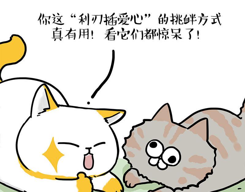 🍘吾皇巴扎黑 第442话 逆风的挑战 第17页