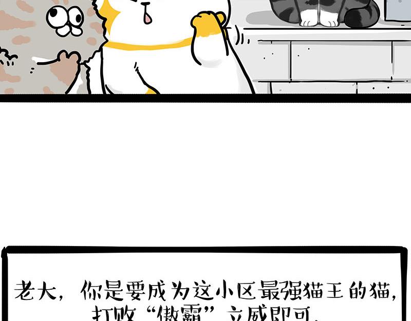 🍘吾皇巴扎黑 第442话 逆风的挑战 第25页