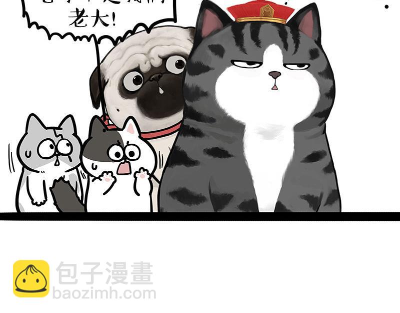 🍘吾皇巴扎黑 第442话 逆风的挑战 第28页