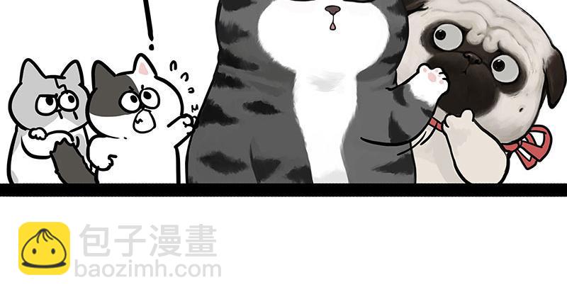 🍘吾皇巴扎黑 第442话 逆风的挑战 第30页