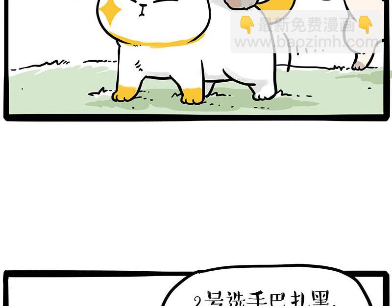 🍘吾皇巴扎黑 第442话 逆风的挑战 第34页