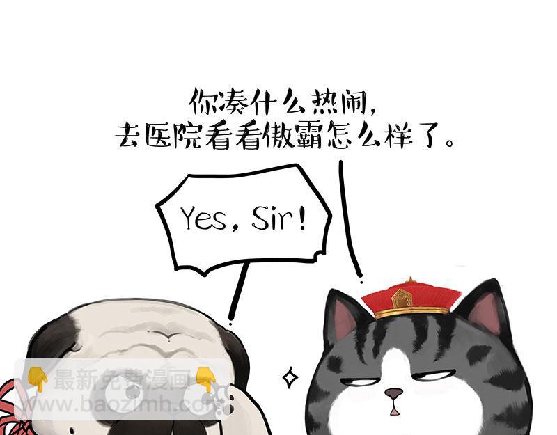 🍘吾皇巴扎黑 第442话 逆风的挑战 第37页