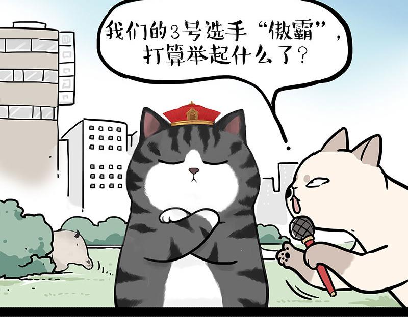 🍘吾皇巴扎黑 第442话 逆风的挑战 第39页