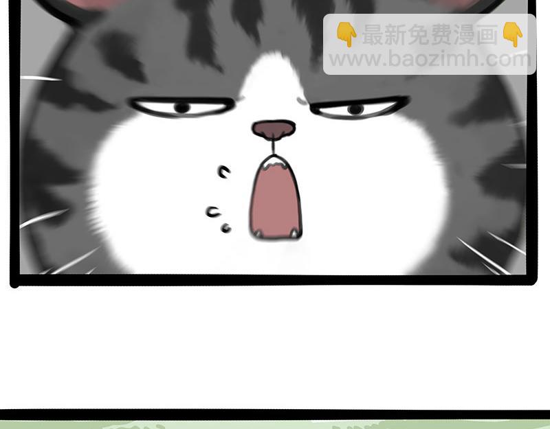 🍘吾皇巴扎黑 第442话 逆风的挑战 第41页