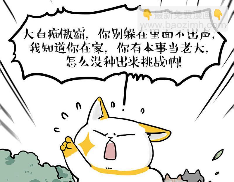 🍘吾皇巴扎黑 第442话 逆风的挑战 第5页