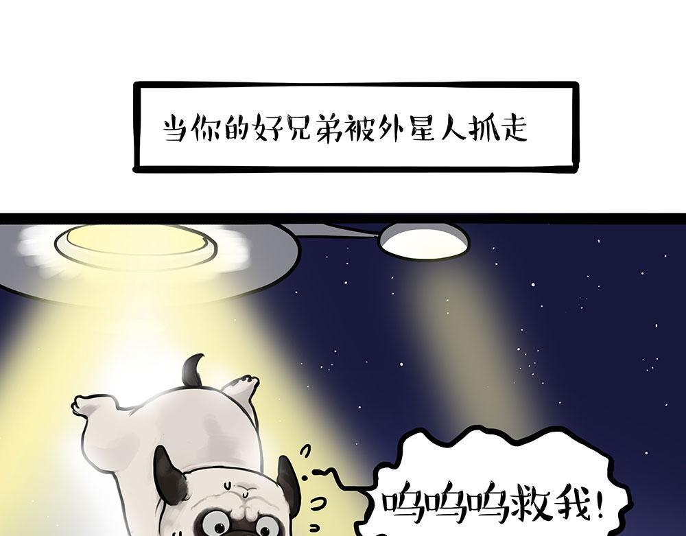🍘吾皇巴扎黑 第444话 定！ 第1页