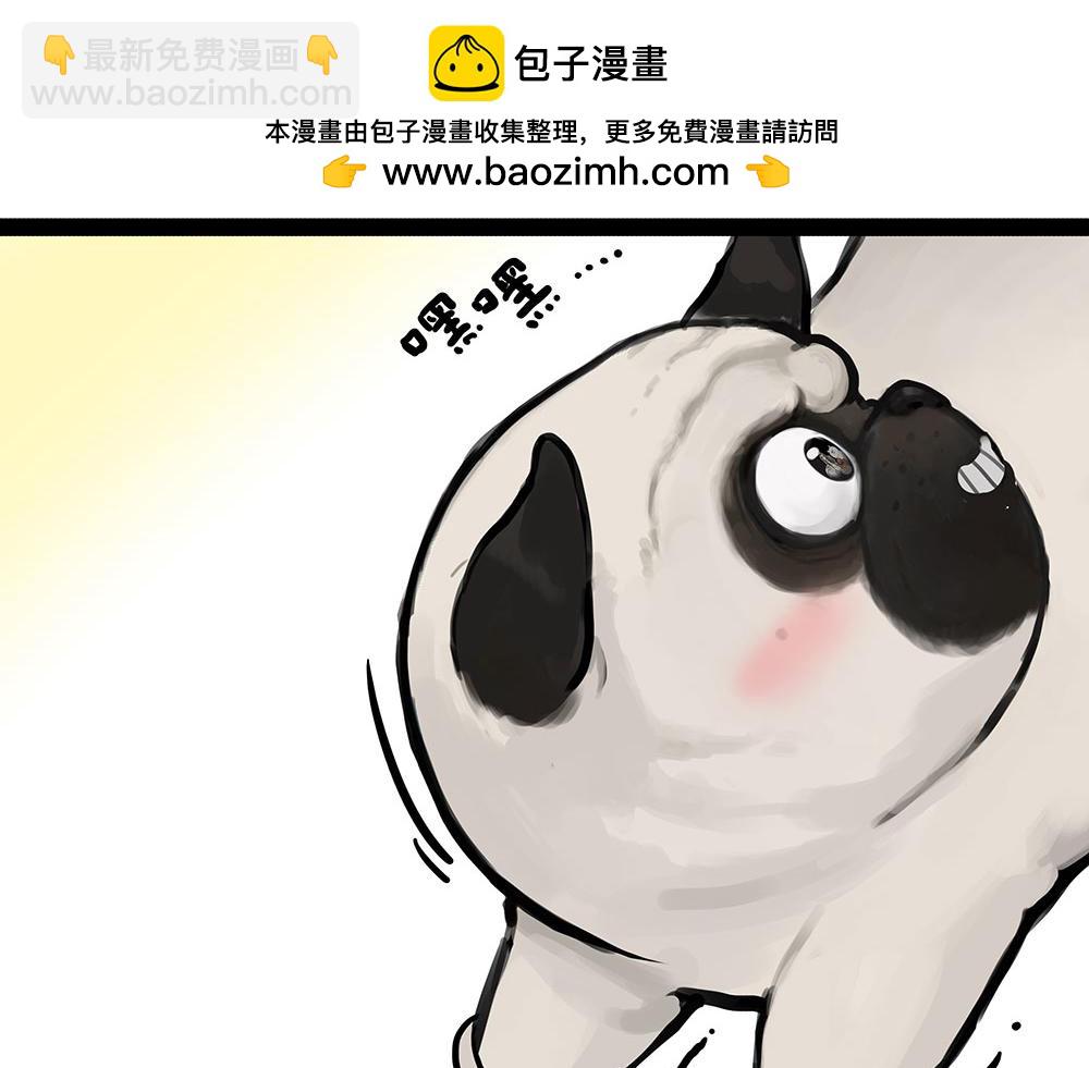 🍘吾皇巴扎黑 第444话 定！ 第10页
