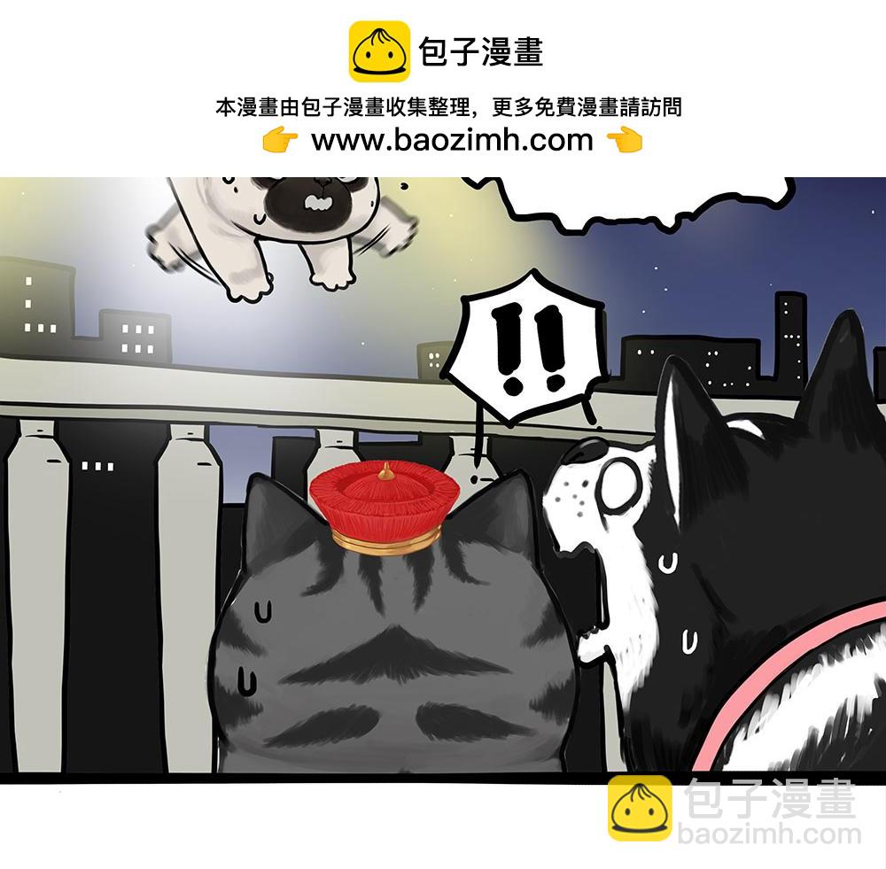 🍘吾皇巴扎黑 第444话 定！ 第2页
