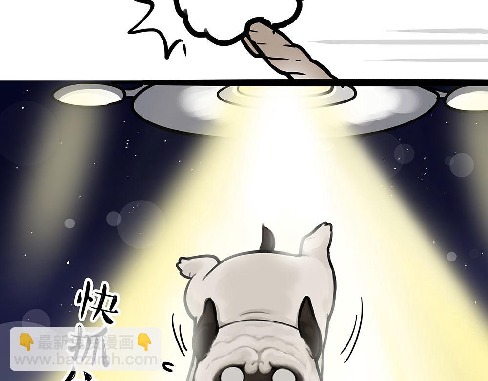 🍘吾皇巴扎黑 第444话 定！ 第4页
