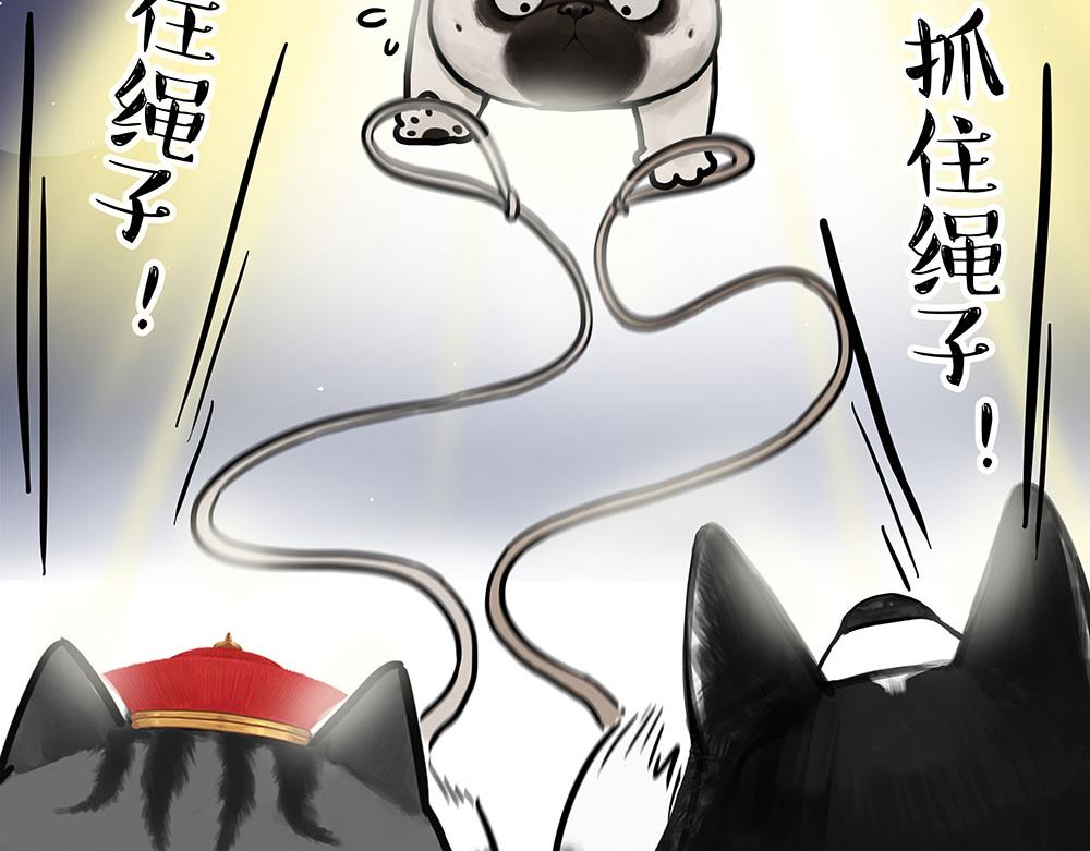 🍘吾皇巴扎黑 第444话 定！ 第5页
