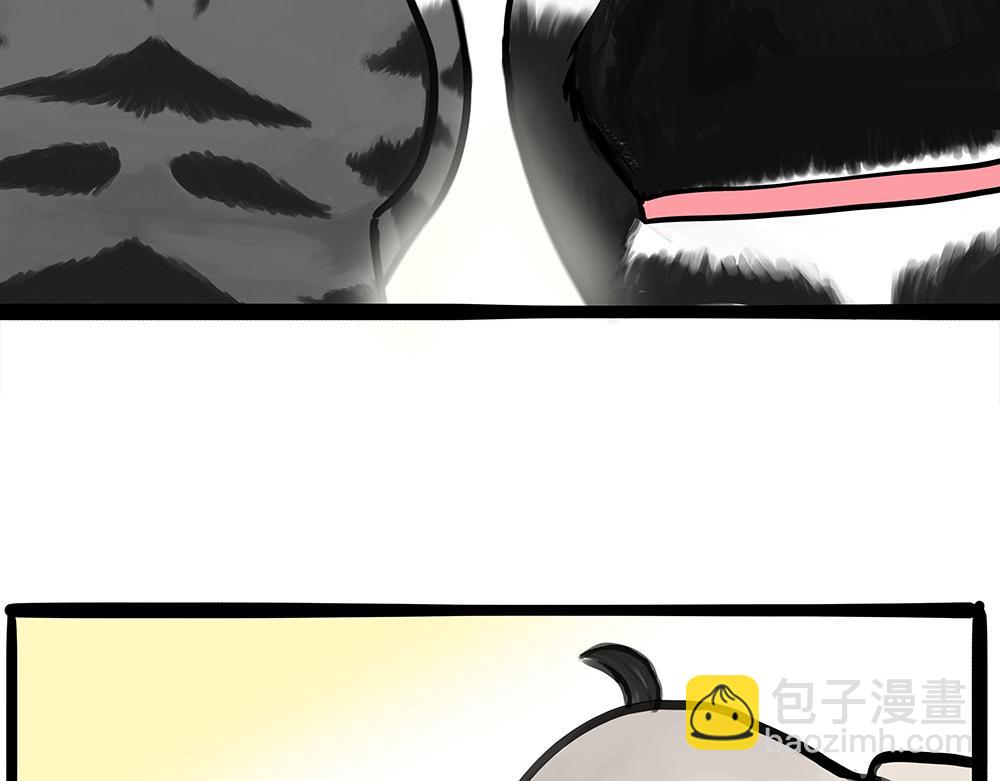 🍘吾皇巴扎黑 第444话 定！ 第6页