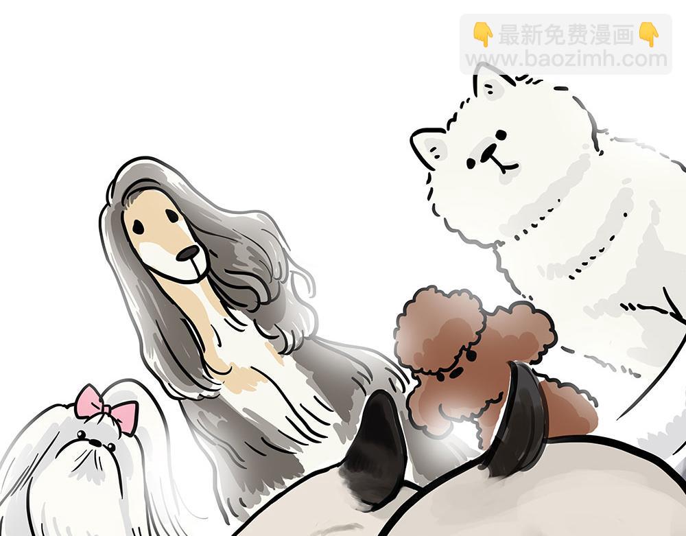 🍘吾皇巴扎黑 第444话 定！ 第8页
