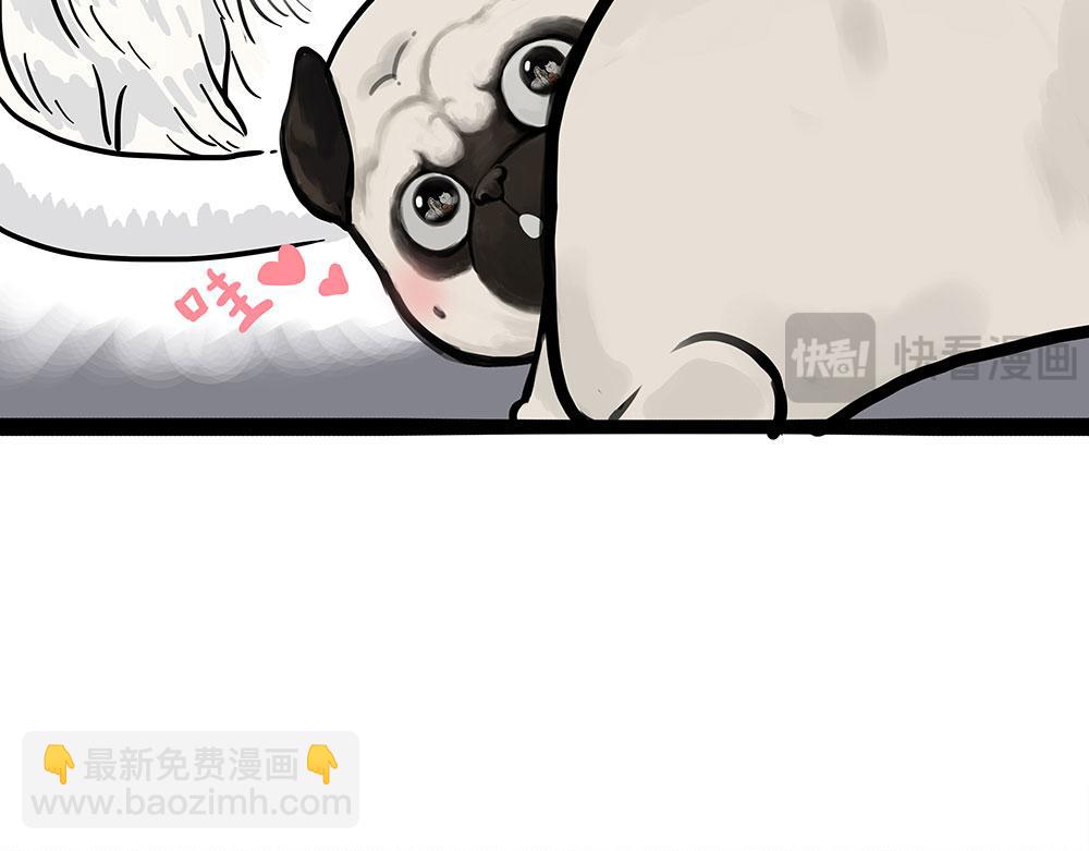 🍘吾皇巴扎黑 第444话 定！ 第9页