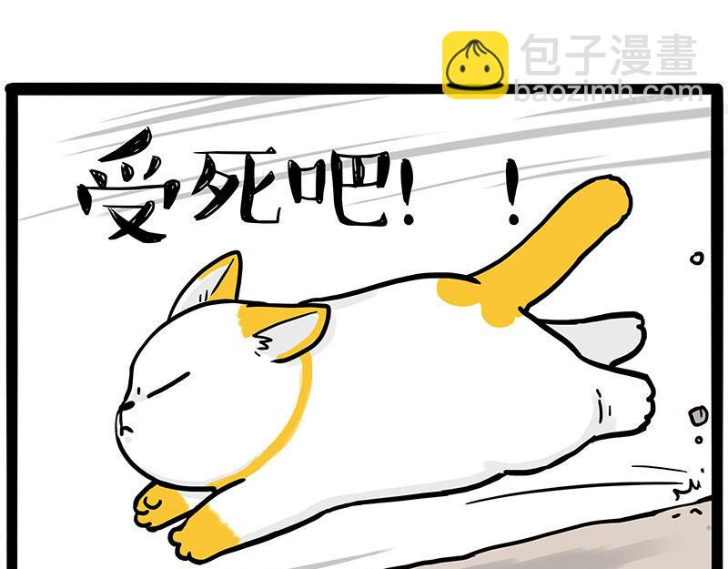 🍘吾皇巴扎黑 第446话 真相 第12页