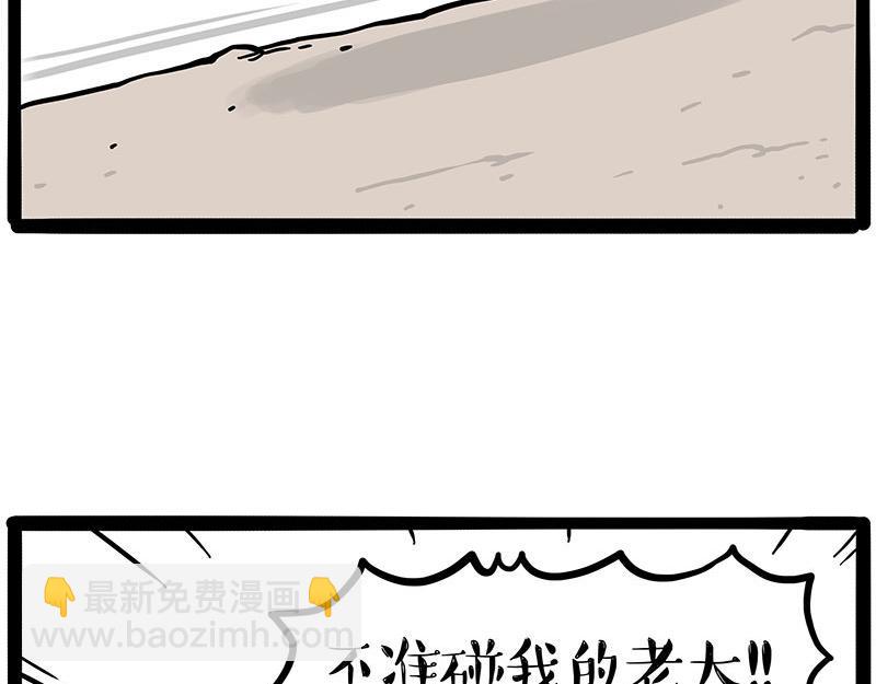 🍘吾皇巴扎黑 第446话 真相 第13页