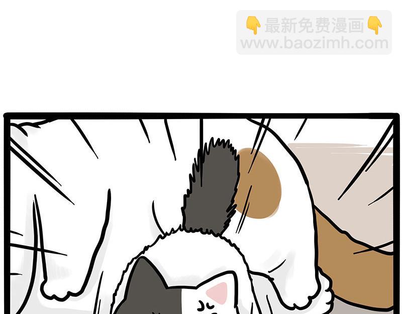 🍘吾皇巴扎黑 第446话 真相 第15页