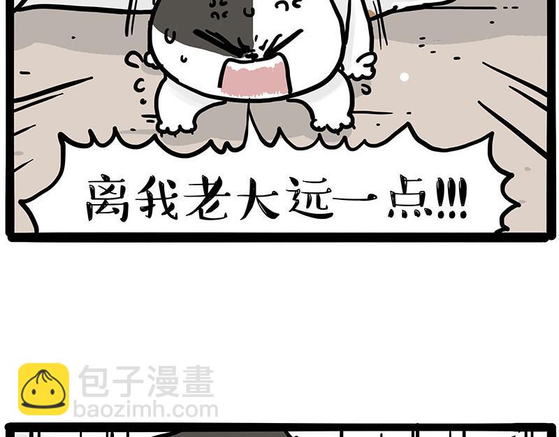🍘吾皇巴扎黑 第446话 真相 第16页