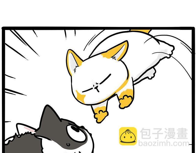 🍘吾皇巴扎黑 第446话 真相 第19页