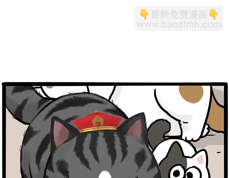 🍘吾皇巴扎黑 第446话 真相 第22页