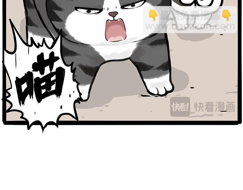 🍘吾皇巴扎黑 第446话 真相 第23页