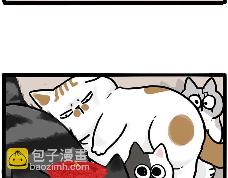 🍘吾皇巴扎黑 第446话 真相 第29页