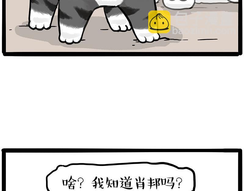 🍘吾皇巴扎黑 第446话 真相 第32页
