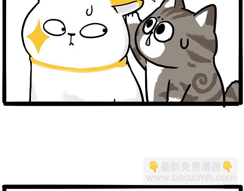 🍘吾皇巴扎黑 第446话 真相 第39页