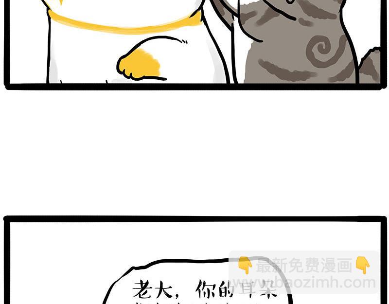 🍘吾皇巴扎黑 第446话 真相 第43页