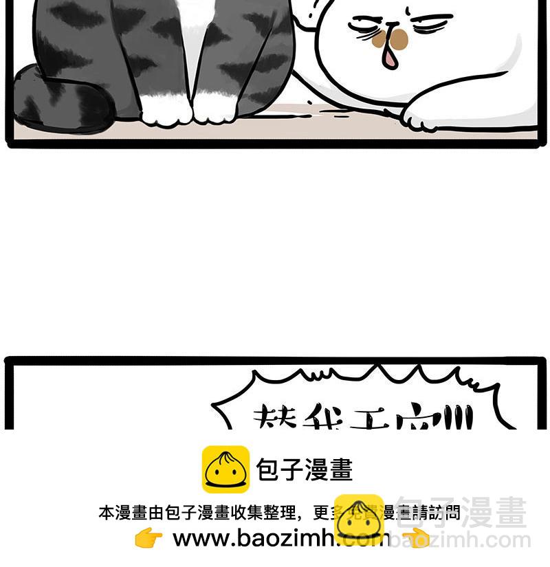 🍘吾皇巴扎黑 第446话 真相 第50页