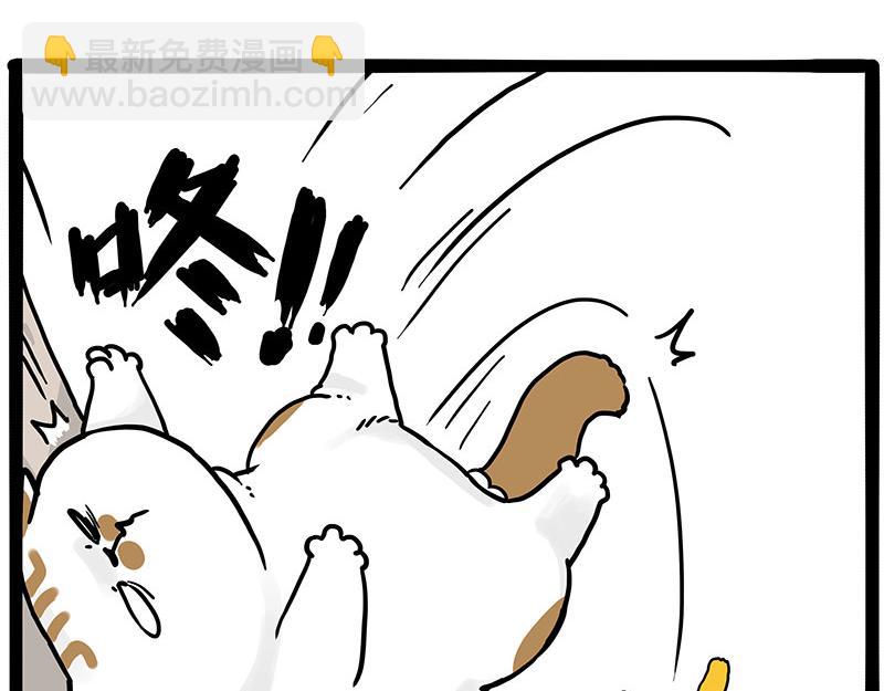 🍘吾皇巴扎黑 第446话 真相 第6页